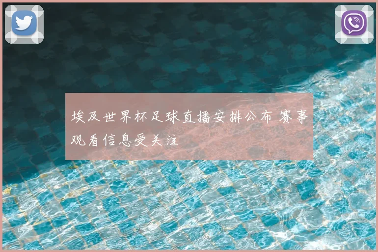 埃及世界杯足球直播安排公布 赛事观看信息受关注