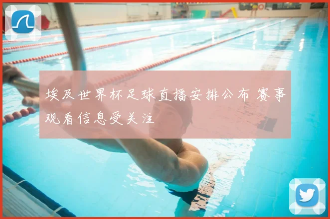 埃及世界杯足球直播安排公布 赛事观看信息受关注