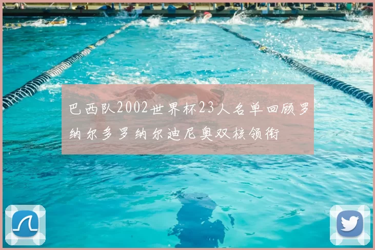 巴西队2002世界杯23人名单回顾罗纳尔多罗纳尔迪尼奥双核领衔
